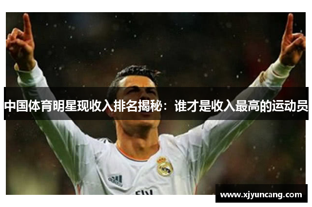 中国体育明星现收入排名揭秘:谁才是收入最高的运动员