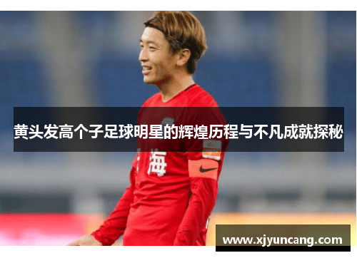 黄头发高个子足球明星的辉煌历程与不凡成就探秘